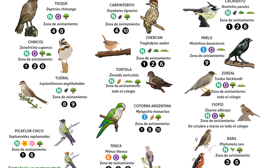 ¡Nueva Guía de Aves en nuestro colegio!